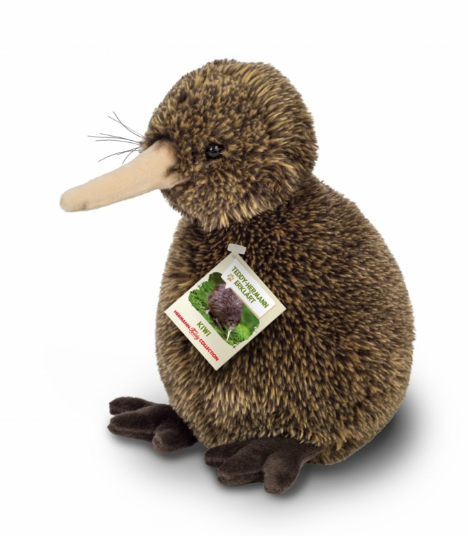 Kiwi.jpg