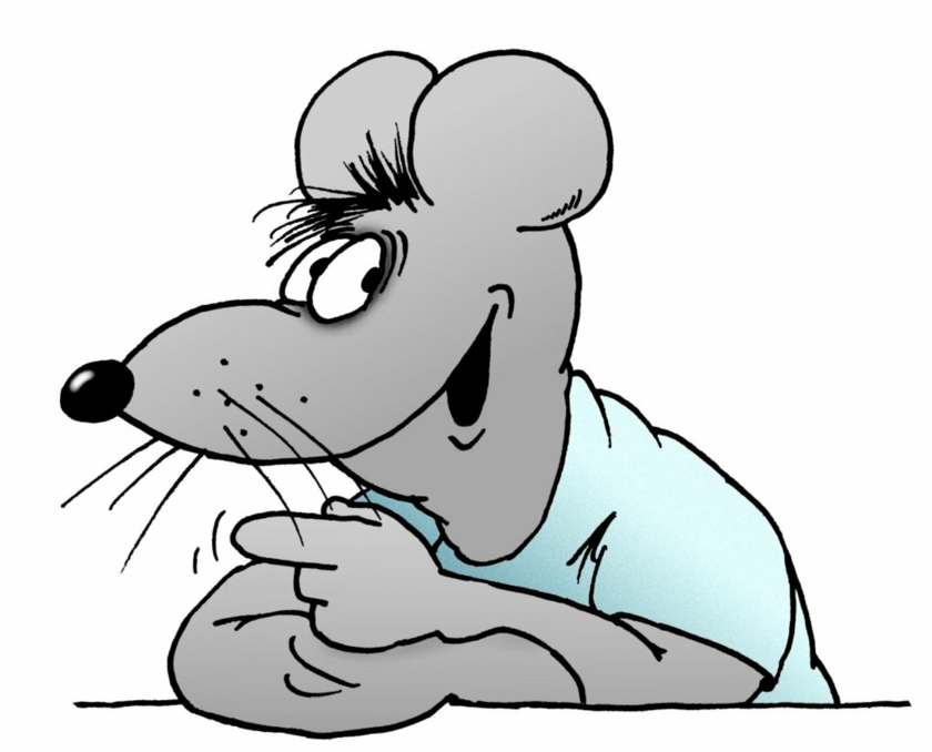 Uki-Stein-Cartoon-Maus.jpg