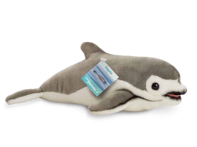 Vaquita.png