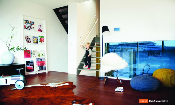 Mippaa-Stair-Trainer-Image.jpg