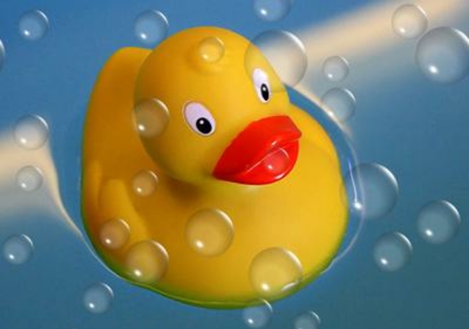 719910_web_R_by_Rike_pixelio.de