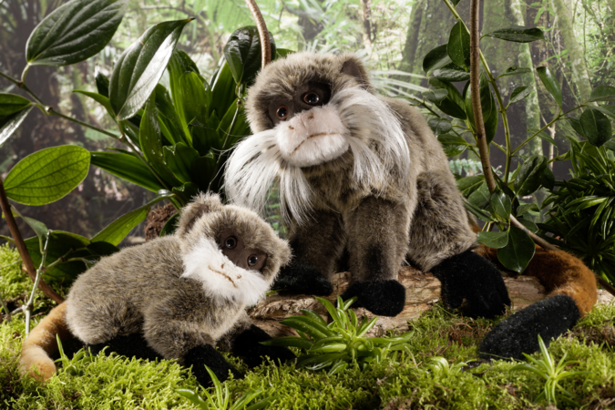 kaiserschnurrbart_miranda_tara