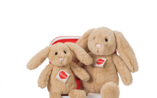 Teddy-Hermann-Hasen.png