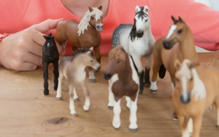 horseclubgirlwithhorses3rschleich-1489477723.jpg
